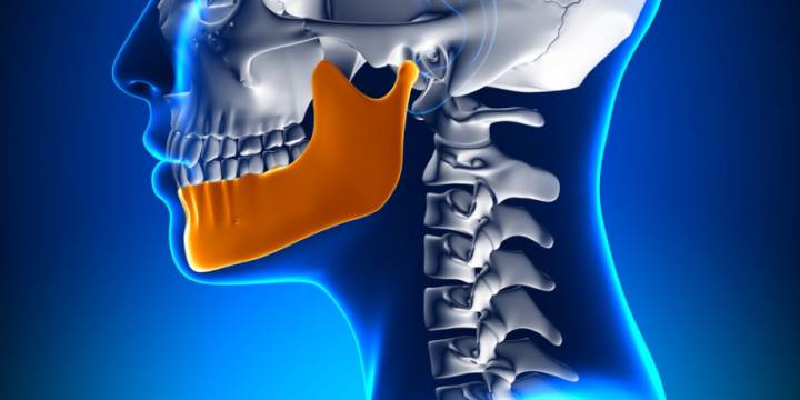 la-importancia-de-la-relacion-entre-oclusion-y-postura-corporal imagen de artículo