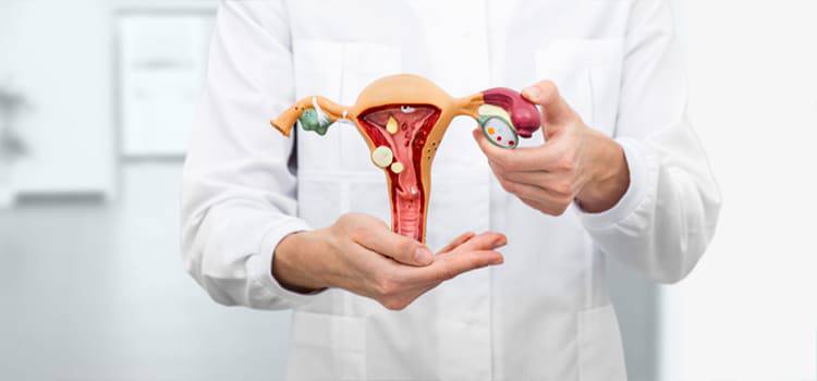 entendiendo-la-hemorragia-uterina-anormal-guia-para-pacientes imagen de artículo