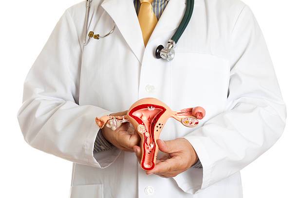miomas-submucosos-el-diagnostico-al-tratamiento-una-guia-para-una-recuperacion-exitosa imagen de artículo