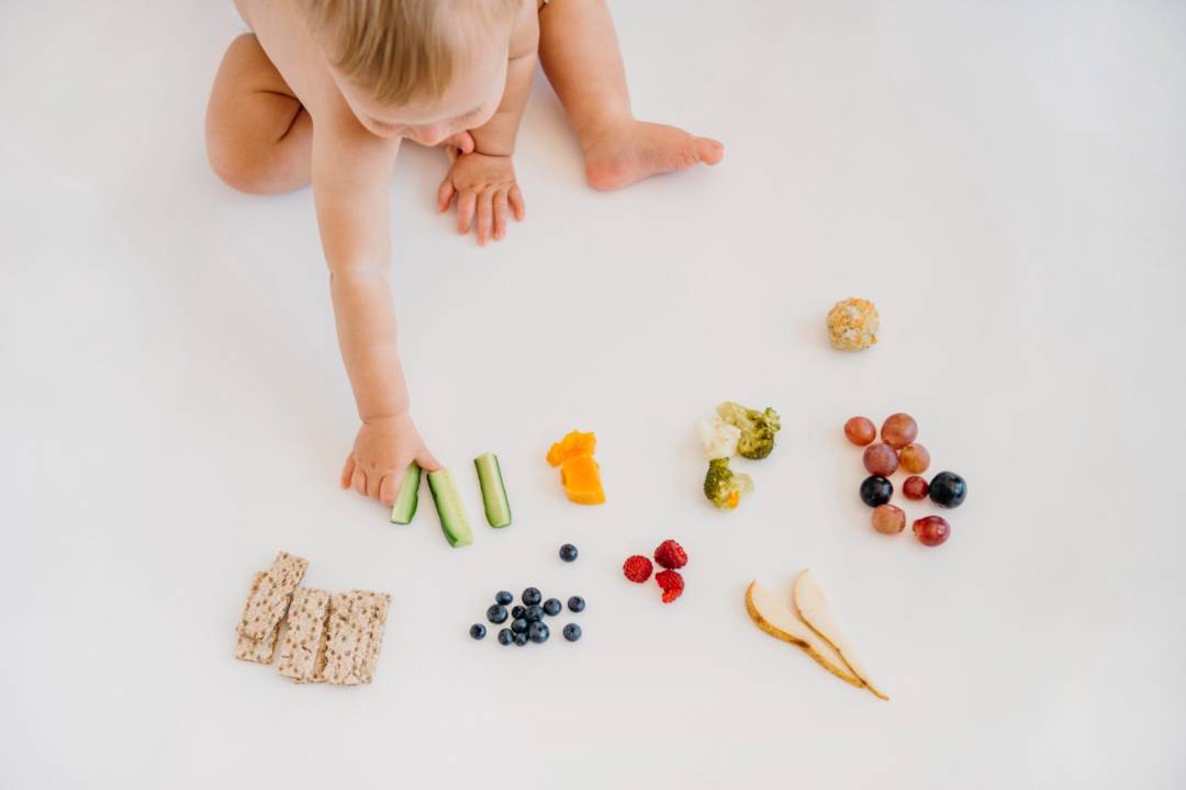 Alimentación Infantil: La importancia de la nutrición integral para el óptimo desarrollo 