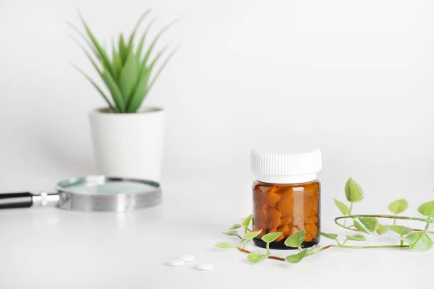 el-principio-de-la-semejanza-descubre-su-impacto-en-la-ciencia-y-la-vida-diaria imagen de artículo