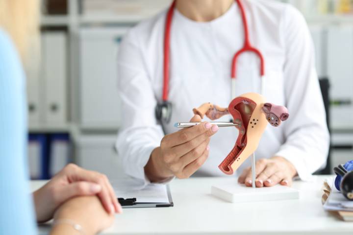 endocrinologia-ginecologica-entendiendo-impacto-hormonas-salud-femenina imagen de artículo