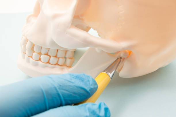 todo-sobre-la-articulacion-temporomandibular-causas-sintomas-y-tratamientos imagen de artículo