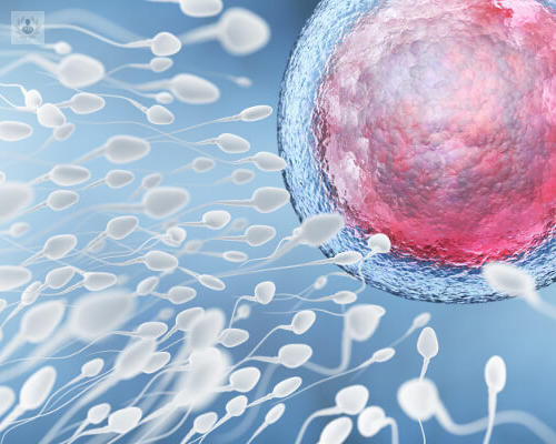 columnas-de-anexina-un-nuevo-tratamiento-para-pacientes-con-adn-espermatico-fragmentado imagen de artículo