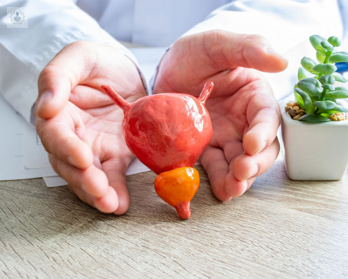problemas-de-prostata-y-su-prevencion imagen de artículo