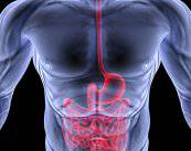 Nuevas perspectivas en Endoscopia Digestiva