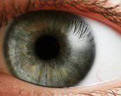 el-tratamiento-de-presbicia-uno-de-los-mayores-desafios-de-la-oftalmologia imagen de artículo