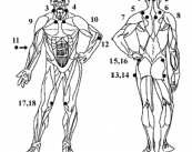 la-mejor-alimentacion-para-la-fibromialgia imagen de artículo