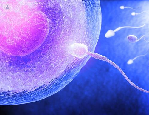 donacion-de-ovulos imagen de artículo