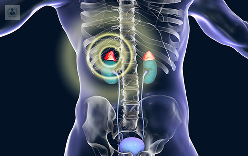glandulas-suprarrenales imagen de artículo