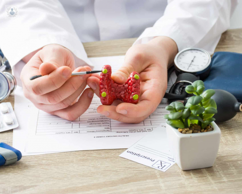 glandulas-paratiroides imagen de artículo