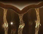 rejuvenecimiento-de-ojos-con-hilos-silhouette-y-thermage imagen de artículo