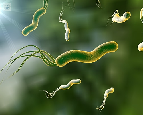 helicobacter-pylori-que-es-y-como-tratarlo imagen de artículo