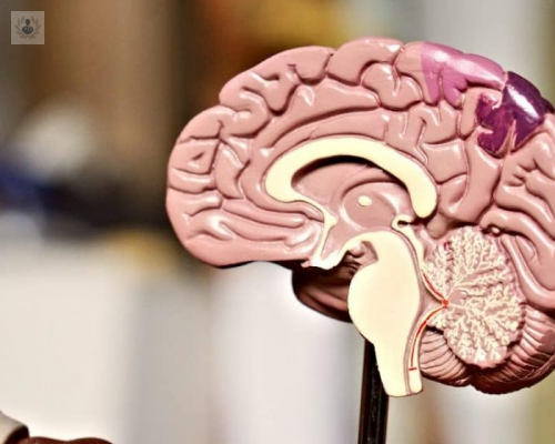 la-evaluacion-neuropsicologica-en-la-infancia imagen de artículo