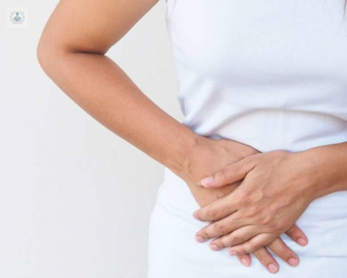 la-vesicula-biliar imagen de artículo