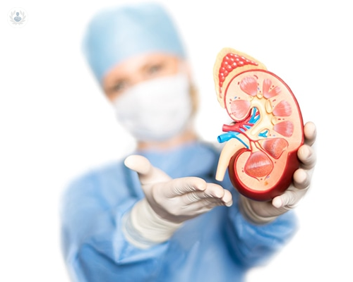 la-enfermedad-renal-diabetica-o-nefropatia-diabetica imagen de artículo