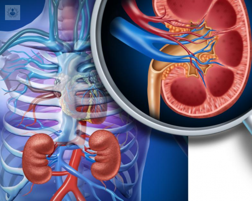 insuficiencia-renal-cronica imagen de artículo