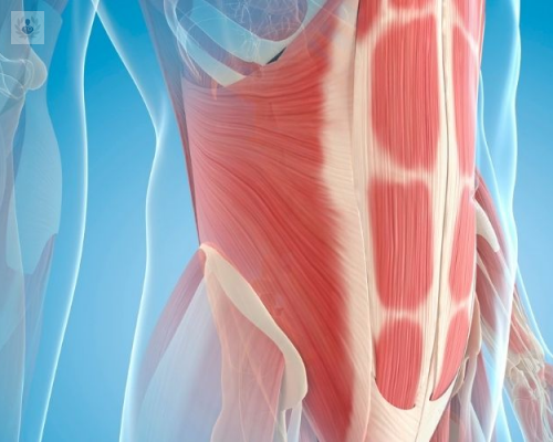 la-pared-abdominal-hernia-y-eventracion imagen de artículo