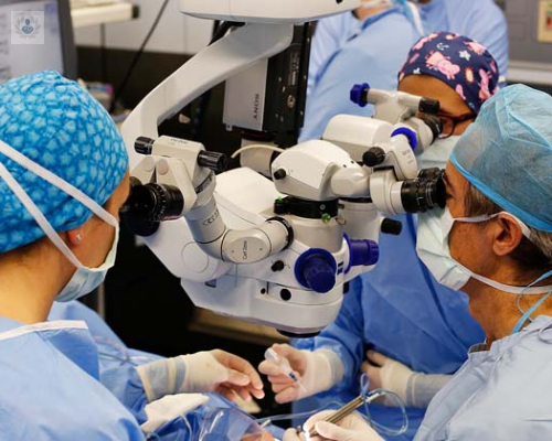 cirugia-del-vitreo-para-acabar-con-las-moscas-volantes imagen de artículo