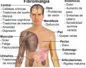 el-sindrome-de-sensibilidad-central-parte-ii imagen de artículo