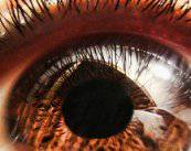 las-multiples-causas-de-las-enfermedades-de-la-cornea imagen de artículo