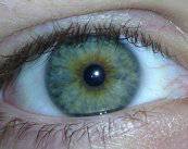 la-neuritis-optica-y-sus-causas-segun-la-edad imagen de artículo