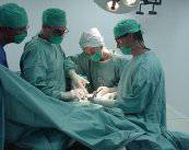 la-cirugia-endoscopica-nasosinusal-permite-una-rapida-recuperacion imagen de artículo