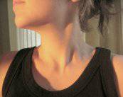 paratiroides-glandulas-que-regulan-el-contenido-de-calcio-en-sangre imagen de artículo