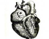 la-arteriosclerosis imagen de artículo