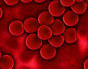 el-plasma-rico-en-plaquetas-vuelve-la-piel-mas-luminosa-y-joven imagen de artículo