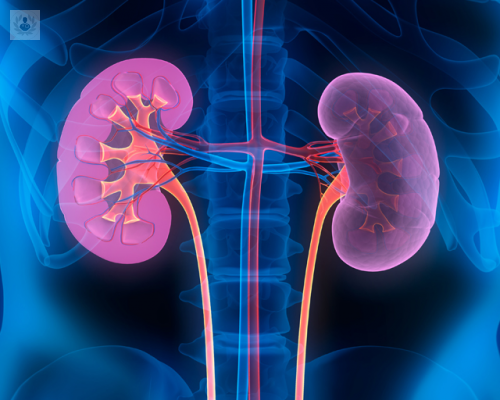 cuando-se-realiza-la-extirpacion-de-rinon imagen de artículo