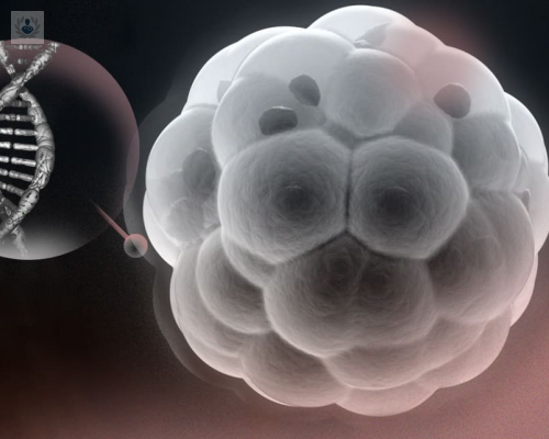 Diagnóstico Preimplantacional: método para detectar embriones enfermos