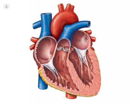 problemas-de-valvulas-cardiacas imagen de artículo