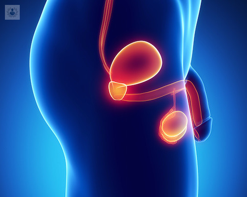 Estenosis de uretra: características, síntomas y diagnóstico
