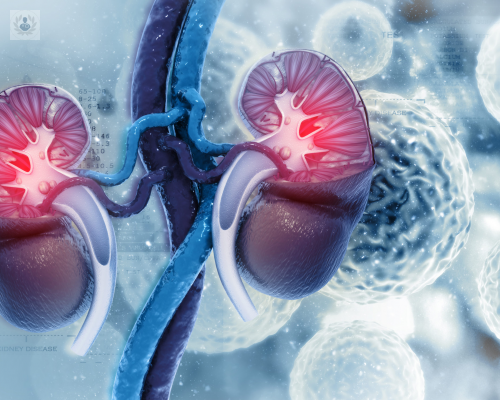 el-cancer-de-rinon-afecta-a-hombres-de-entre-50-y-70-anos imagen de artículo