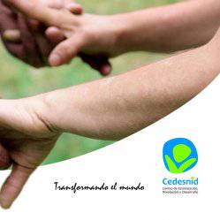 Fundación CEDESNID (Centro de Estimulación, Nivelación y Desarrollo) undefined imagen perfil