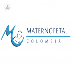 Maternofetal undefined imagen perfil